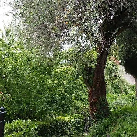 Studio au calme dans un écrin de verdure Appartamento