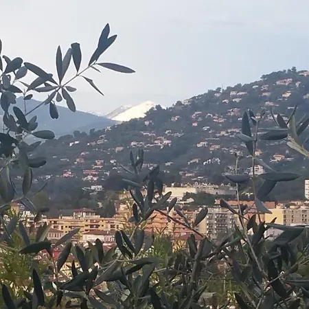 Studio Au Calme Dans Un Ecrin De Verdure * La Trinité