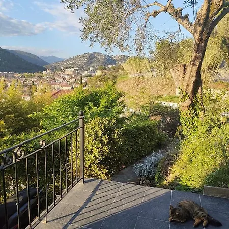 Studio Au Calme Dans Un Ecrin De Verdure * La Trinité